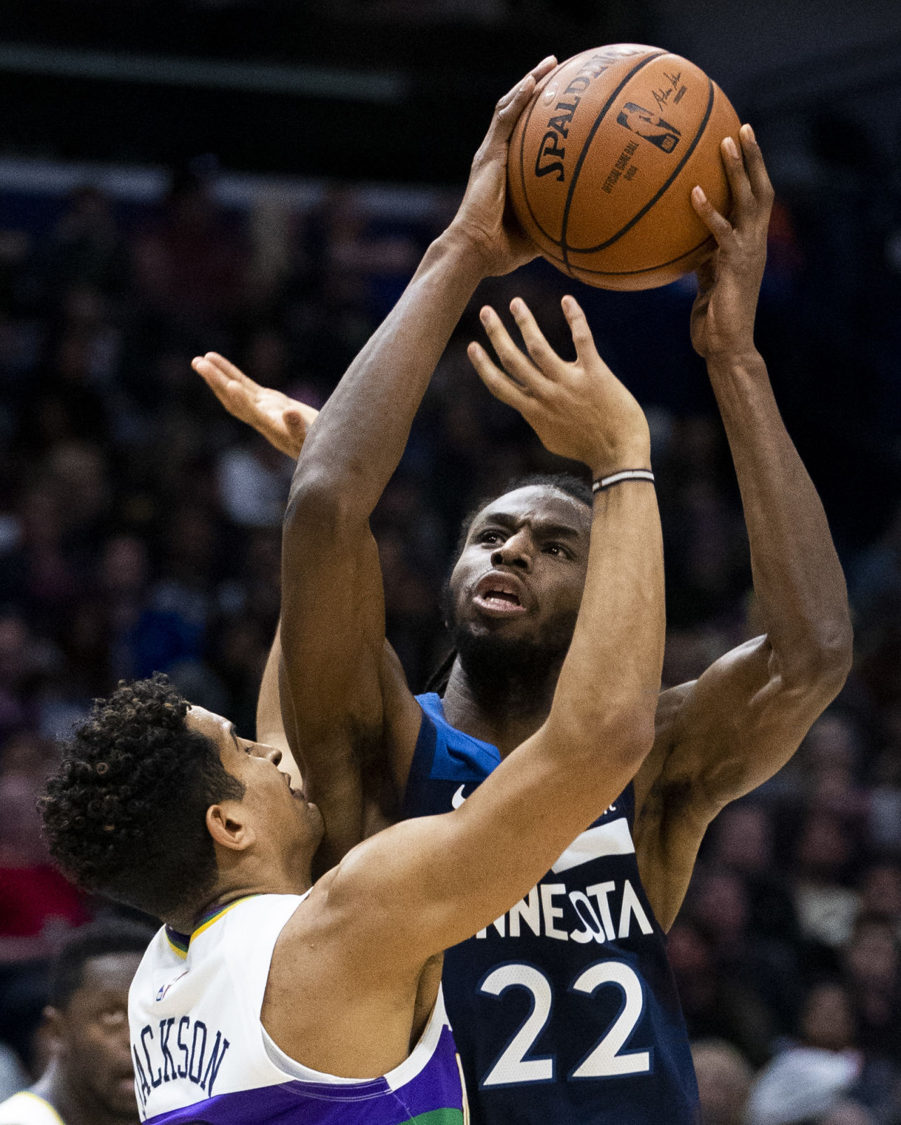 NO.pelicanwolves.020819.24.JPG